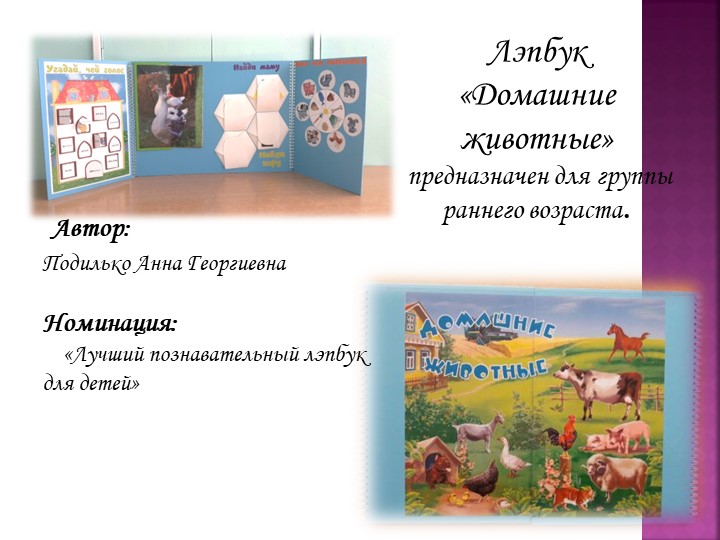 Презентация лепбука "Домашние животные" Учебники, Презентации и Подготовка к Экзаменам для Школьников на Klass-Uchebnik.com