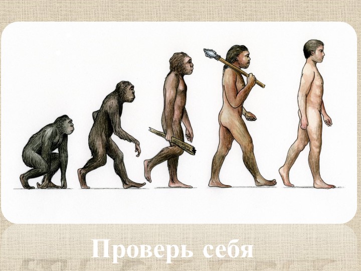 Презентация по теме: " РОДОВЫЕ ОБЩИНЫ ОХОТНИКОВ И СОБИРАТЕЛЕЙ" Учебники, Презентации и Подготовка к Экзаменам для Школьников на Klass-Uchebnik.com