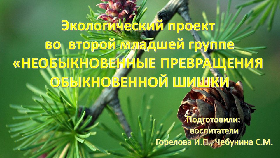 Презентация к экологическому проекту "Сосновая шишка" (вторая младшая группа) Учебники, Презентации и Подготовка к Экзаменам для Школьников на Klass-Uchebnik.com