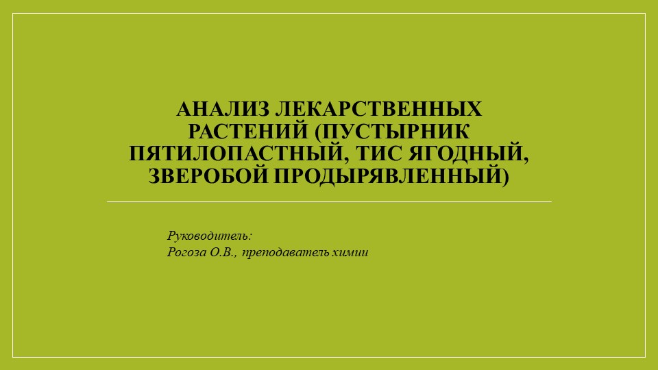 Презентация к исследовательской работе: "Анализ лекарственных растений - Пустырник пятилопастный, Тис ягодный, Зверобой продырявленный, Ромашка лекарственная " Учебники, Презентации и Подготовка к Экзаменам для Школьников на Klass-Uchebnik.com