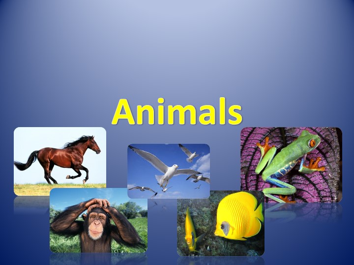 Презентация по английскому языку "Животные" - Учебники, Презентации и Подготовка к Экзаменам для Школьников на Klass-Uchebnik.com