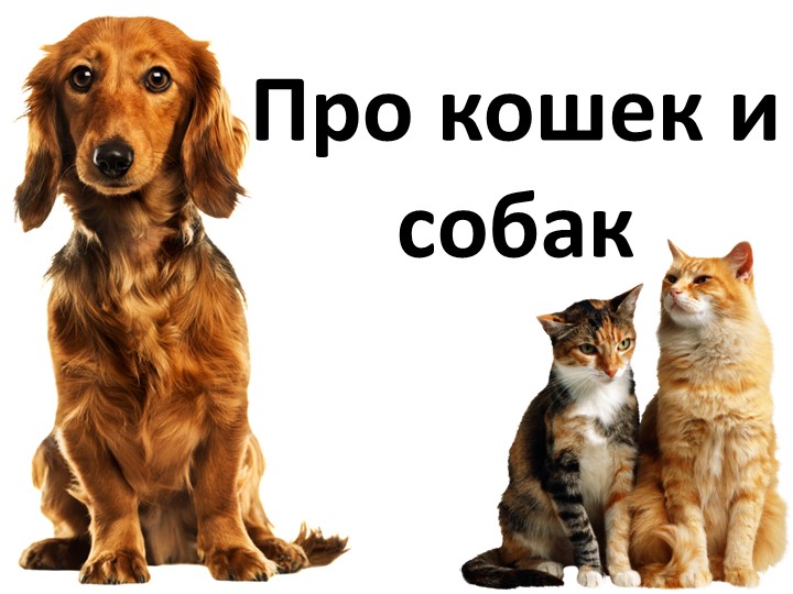 Презентация по окружающему миру на тему "Про кошек и собак" - Учебники, Презентации и Подготовка к Экзаменам для Школьников на Klass-Uchebnik.com