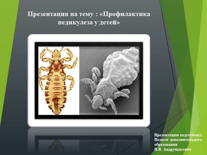 Презентация по ОБЖ на тему: "Профилактика педикулеза для детей" Учебники, Презентации и Подготовка к Экзаменам для Школьников на Klass-Uchebnik.com