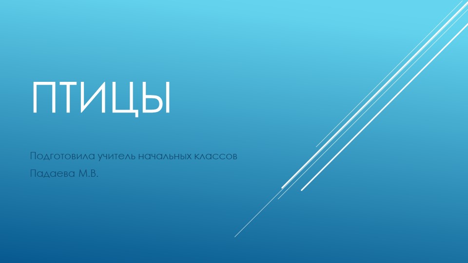 Презентация на тему "птицы"(1класс) Учебники, Презентации и Подготовка к Экзаменам для Школьников на Klass-Uchebnik.com