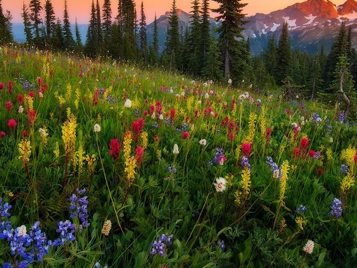 Презентация по русскому языку на тему "Описание природы" (7класс) Учебники, Презентации и Подготовка к Экзаменам для Школьников на Klass-Uchebnik.com