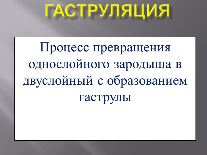 Презентация по биологии на тему "Гаструляция" 9 класс Учебники, Презентации и Подготовка к Экзаменам для Школьников на Klass-Uchebnik.com