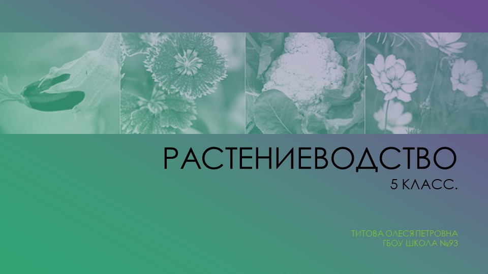 Растениеводство в технологии 5 класс Учебники, Презентации и Подготовка к Экзаменам для Школьников на Klass-Uchebnik.com