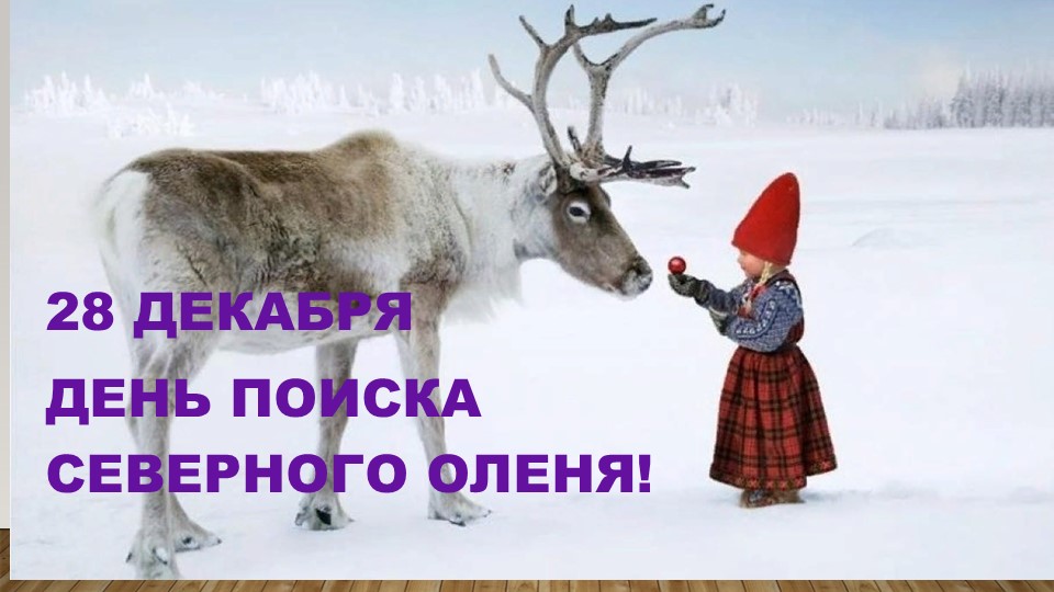 Презентация " Поиск северного оленя" Учебники, Презентации и Подготовка к Экзаменам для Школьников на Klass-Uchebnik.com