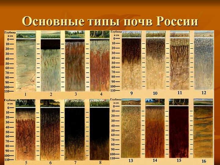 Презентация по окружающему миру на тему "Основные типы почв России" Учебники, Презентации и Подготовка к Экзаменам для Школьников на Klass-Uchebnik.com