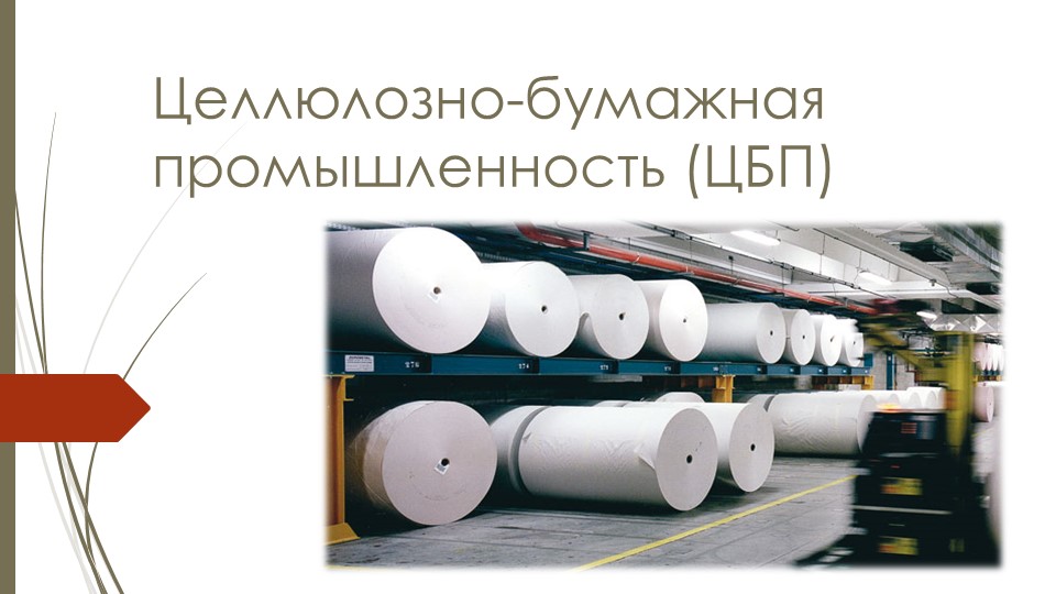 Презентация по географии 9 класс "Целлюлозно-бумажная промышленность" Мельников И ученик 9 класса - Учебники, Презентации и Подготовка к Экзаменам для Школьников на Klass-Uchebnik.com