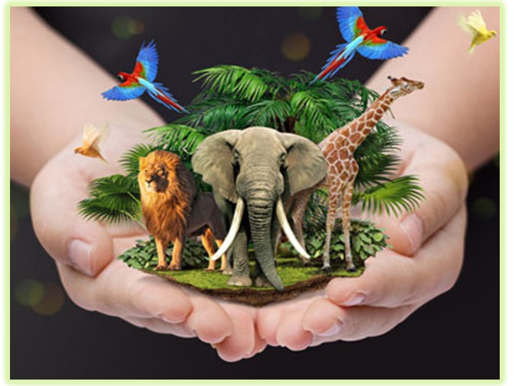 Презентация по английскому языку на тему "At the Zoo" Spotlight 5 - Учебники, Презентации и Подготовка к Экзаменам для Школьников на Klass-Uchebnik.com