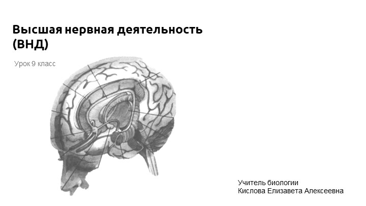 Презентация к уроку: "Высшая нервная деятельность" (9 класс) Учебники, Презентации и Подготовка к Экзаменам для Школьников на Klass-Uchebnik.com