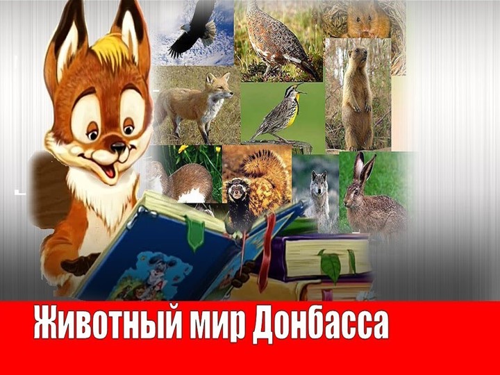 Презентация на тему "Животный мир Донбасса" Учебники, Презентации и Подготовка к Экзаменам для Школьников на Klass-Uchebnik.com
