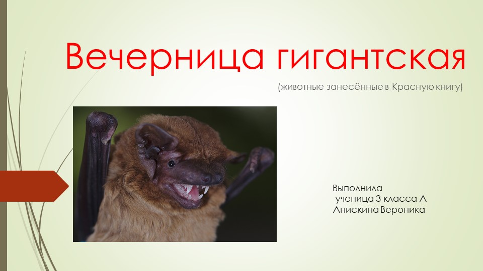 Презентация по Окружающему миру "Вечерница Гигантская" (3 класс) Учебники, Презентации и Подготовка к Экзаменам для Школьников на Klass-Uchebnik.com