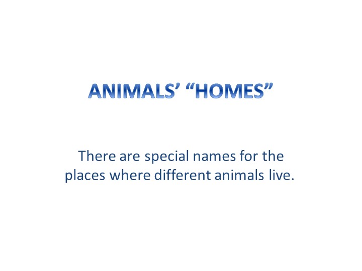 Презентация по английскому языку "Животные и их жилища" Учебники, Презентации и Подготовка к Экзаменам для Школьников на Klass-Uchebnik.com