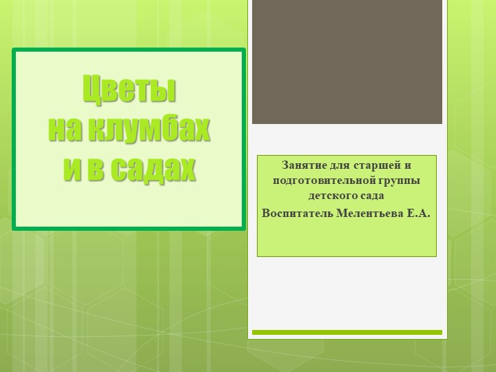 Презентация "Цветы на клумбах и в садах" Учебники, Презентации и Подготовка к Экзаменам для Школьников на Klass-Uchebnik.com