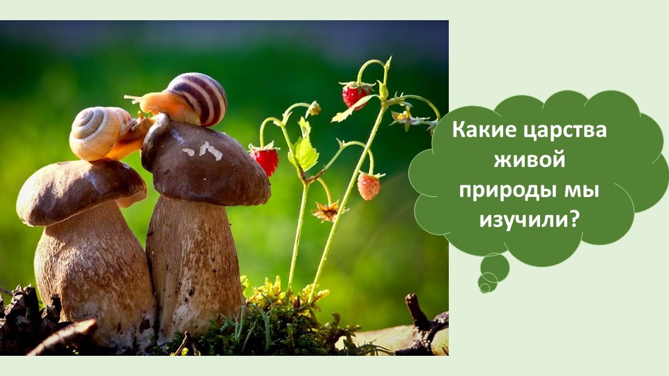 Презентация к уроку "Три среды обитания" Учебники, Презентации и Подготовка к Экзаменам для Школьников на Klass-Uchebnik.com