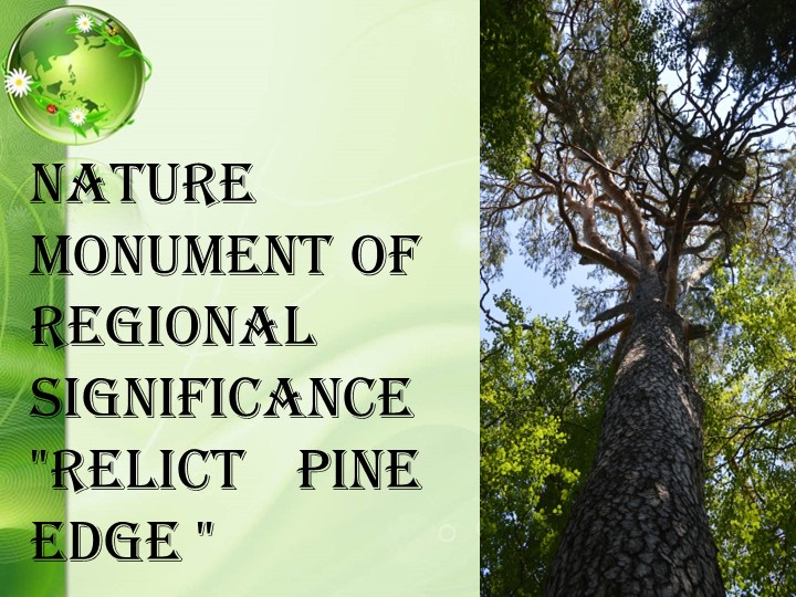 Презентация "Natural monument of Duvansky region" Учебники, Презентации и Подготовка к Экзаменам для Школьников на Klass-Uchebnik.com