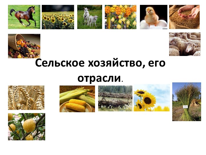 Презентация по географии на тему "Сельское хозяйство, его отрасли" (7 класс) ОВЗ - Учебники, Презентации и Подготовка к Экзаменам для Школьников на Klass-Uchebnik.com