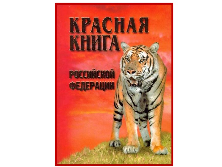 Презентация к уроку окружающего мира по теме « Красная книга» Учебники, Презентации и Подготовка к Экзаменам для Школьников на Klass-Uchebnik.com