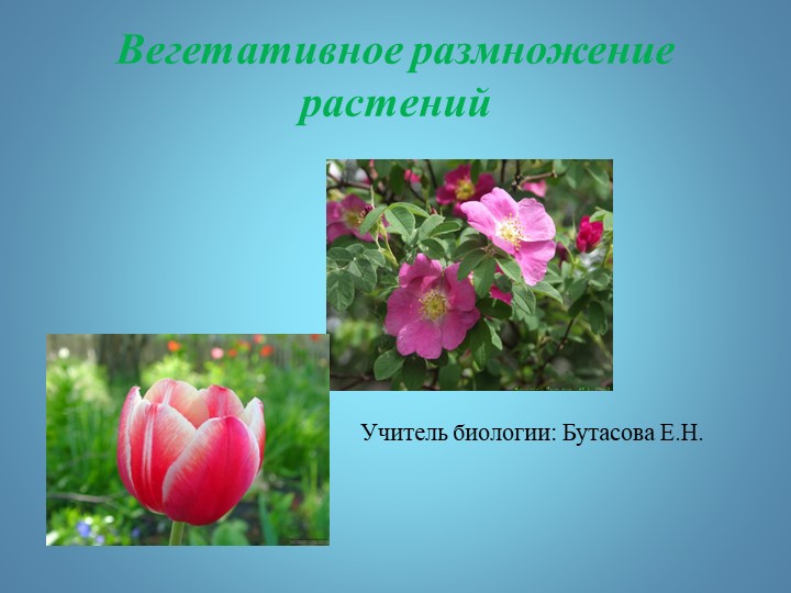 Презентация по биологии на тему "Размножение растений" (6 класс) - Учебники, Презентации и Подготовка к Экзаменам для Школьников на Klass-Uchebnik.com