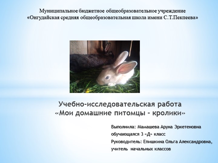 Презентация к поисково- исследовательской работе младших школьников "Мои домашние питомцы- кролики" - Учебники, Презентации и Подготовка к Экзаменам для Школьников на Klass-Uchebnik.com