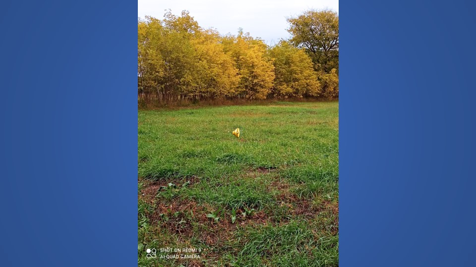 Презентация к внеклассному занятию "Всё о прекрасной осени" Учебники, Презентации и Подготовка к Экзаменам для Школьников на Klass-Uchebnik.com