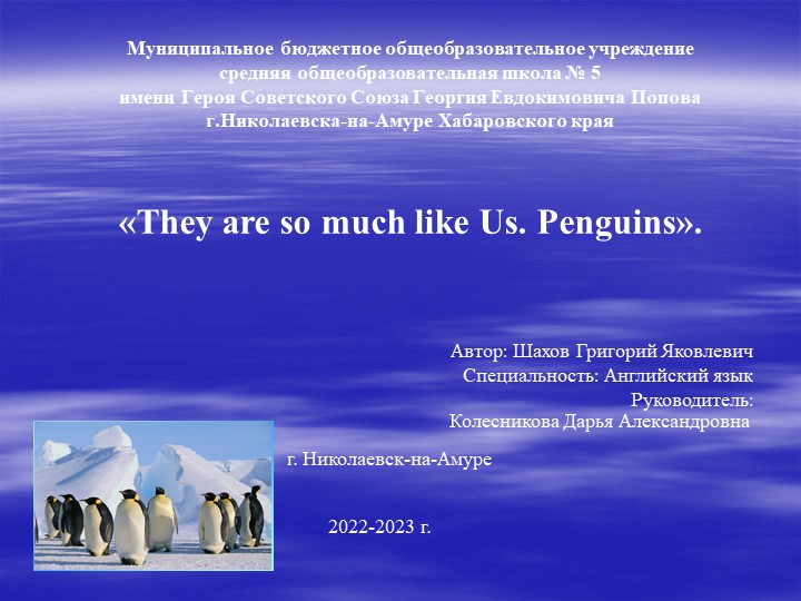 «They are so much like Us. Penguins». Учебники, Презентации и Подготовка к Экзаменам для Школьников на Klass-Uchebnik.com