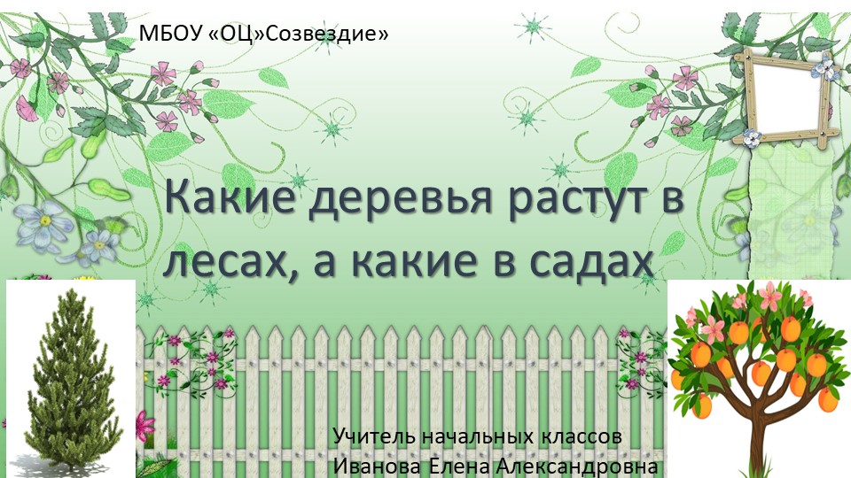 Презентация по миру природы и человека на тему "Какие деревья растут в лесах, а какие в садах", 4 класс Учебники, Презентации и Подготовка к Экзаменам для Школьников на Klass-Uchebnik.com