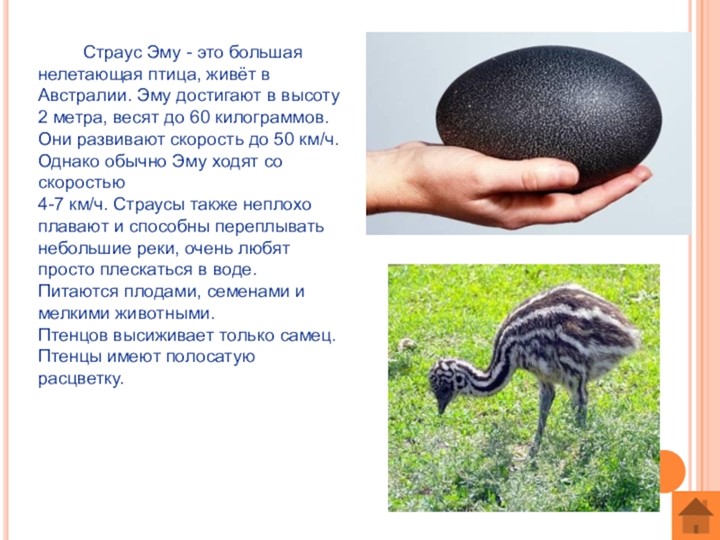 Презентация по обучению грамоте на тему "Гласная буква Э,э" (1 класс) - Учебники, Презентации и Подготовка к Экзаменам для Школьников на Klass-Uchebnik.com