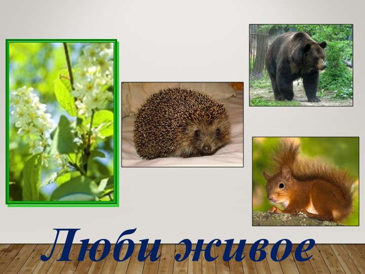 Презентация к уроку на тему «Люби живое» (Михаил Михайлович Пришвин «Моя Родина»).(3 класс) - Учебники, Презентации и Подготовка к Экзаменам для Школьников на Klass-Uchebnik.com