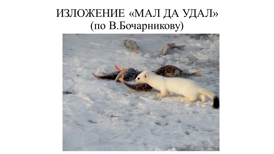 Презентация по русскому языку на тему "Изложение "Мал да удал" (3 класс) Учебники, Презентации и Подготовка к Экзаменам для Школьников на Klass-Uchebnik.com