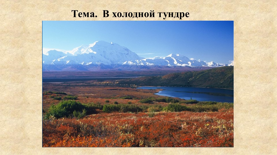 Презентация, тест по теме Тундра Учебники, Презентации и Подготовка к Экзаменам для Школьников на Klass-Uchebnik.com
