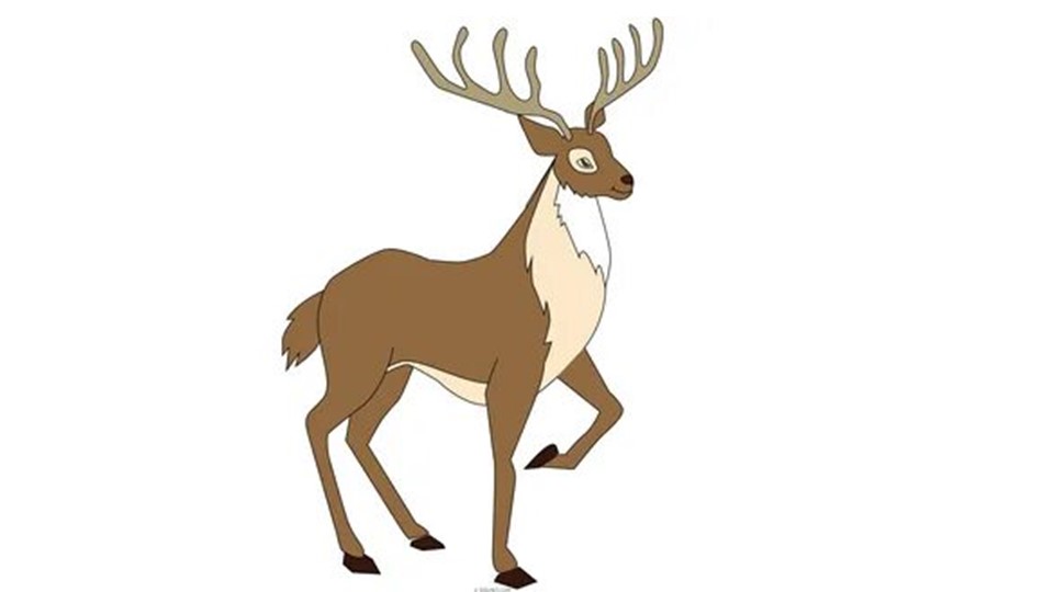 Презентация по рисованию "Фигура животного (олень) " подготовительная группа Учебники, Презентации и Подготовка к Экзаменам для Школьников на Klass-Uchebnik.com