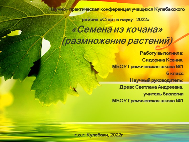 Исследовательская работа "Семена из кочана" Учебники, Презентации и Подготовка к Экзаменам для Школьников на Klass-Uchebnik.com