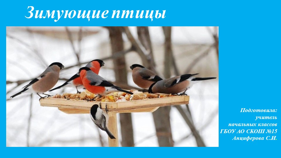Презентация к уроку мир природы и человека на тему: "Зимующие птицы" (3 класс) Учебники, Презентации и Подготовка к Экзаменам для Школьников на Klass-Uchebnik.com