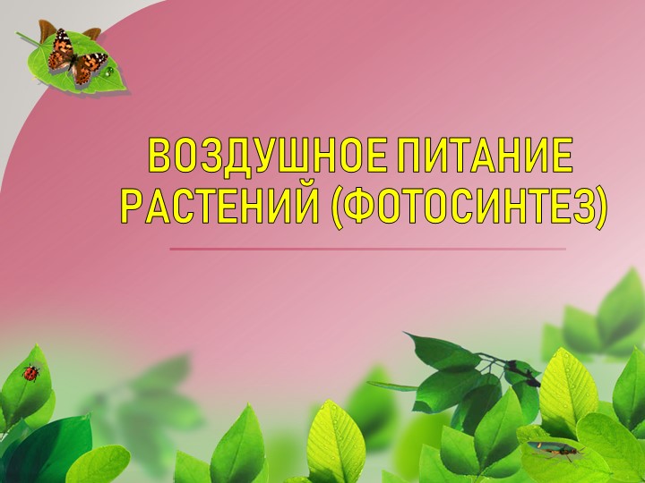 Презентация по биологии на тему "Воздушное питание растений (фотосинтез)" (6 класс) - Учебники, Презентации и Подготовка к Экзаменам для Школьников на Klass-Uchebnik.com
