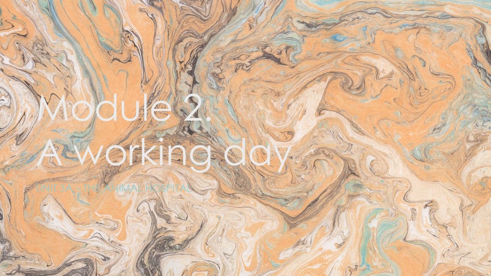 Презентация по английскому языку на тему "Working holiday" (4 класс) - Учебники, Презентации и Подготовка к Экзаменам для Школьников на Klass-Uchebnik.com