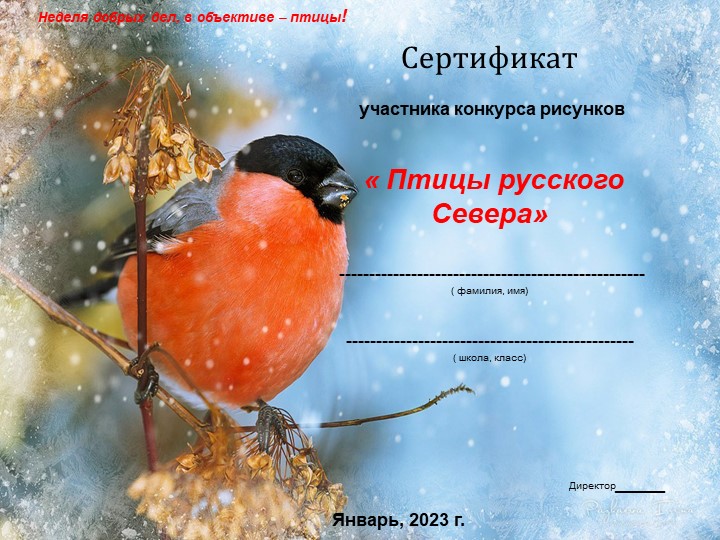 Презентация на тему "Сертификаты участников конкурсов" - Учебники, Презентации и Подготовка к Экзаменам для Школьников на Klass-Uchebnik.com