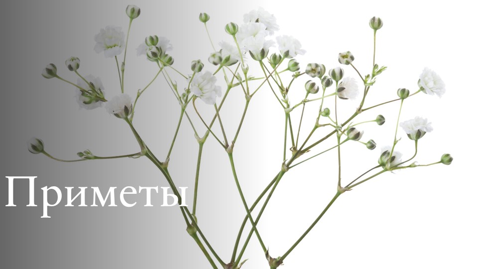 Презентация по мокшанскому языку на тему: "Приметы". Учебники, Презентации и Подготовка к Экзаменам для Школьников на Klass-Uchebnik.com