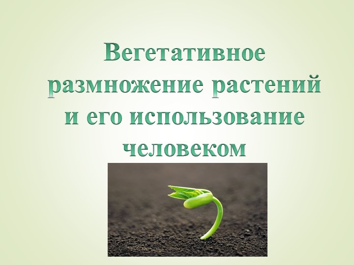 Вегетативное размножение растений и его использование человеком. - Учебники, Презентации и Подготовка к Экзаменам для Школьников на Klass-Uchebnik.com