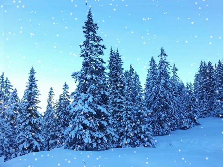 Башҡорт теле көнөнә презентация - Учебники, Презентации и Подготовка к Экзаменам для Школьников на Klass-Uchebnik.com