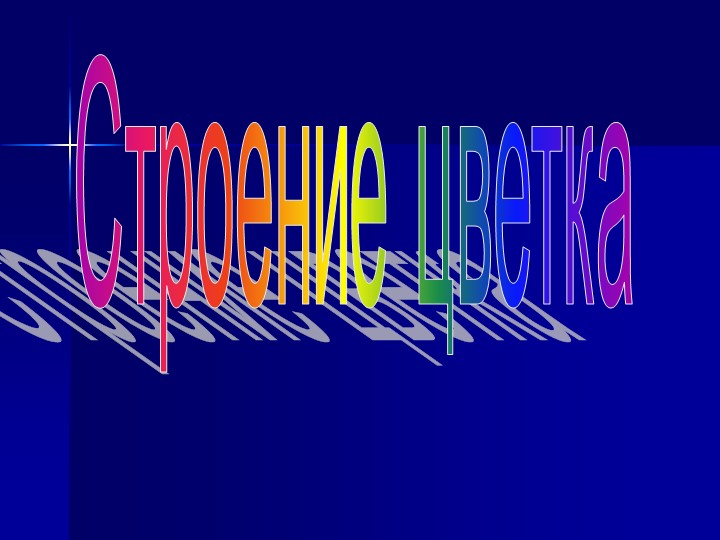 Презентация к уроку биологии 6 класс "Строение цветка" Учебники, Презентации и Подготовка к Экзаменам для Школьников на Klass-Uchebnik.com