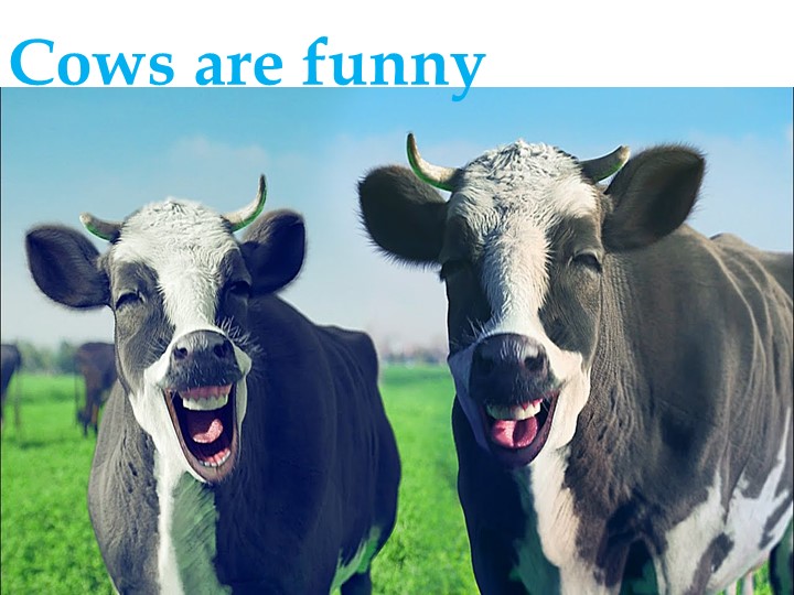 Презентация "Сows are funny" - Учебники, Презентации и Подготовка к Экзаменам для Школьников на Klass-Uchebnik.com