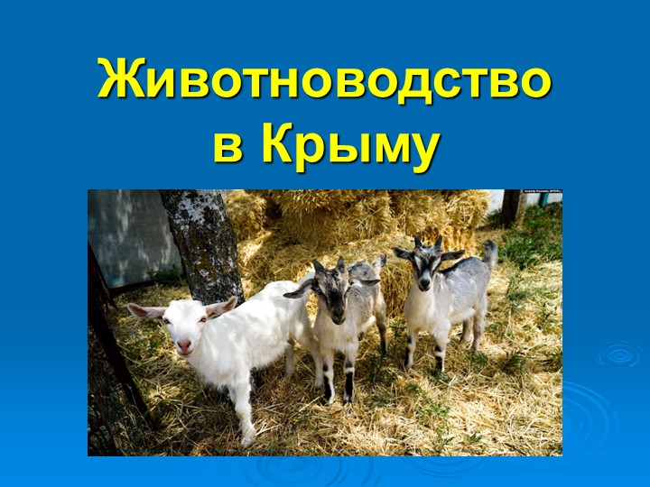 Презентация по биологии на тему: "Животноводство в Крыму" Учебники, Презентации и Подготовка к Экзаменам для Школьников на Klass-Uchebnik.com