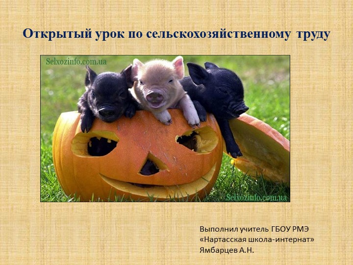 Презентация по сельскохозяйственному труду на тему "Корма для свиней" 7 класс Учебники, Презентации и Подготовка к Экзаменам для Школьников на Klass-Uchebnik.com