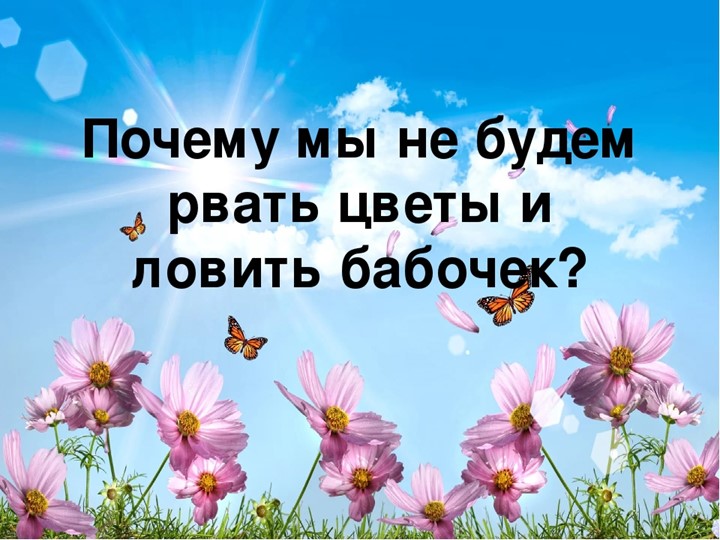 Презентация к уроку по окружающему миру на тему «Почему мы не будем рвать цветы и ловить бабочек?» 1 класс Учебники, Презентации и Подготовка к Экзаменам для Школьников на Klass-Uchebnik.com