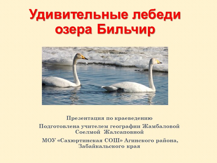 Презентация к уроку "Удивительные лебеди нашего озера" - Учебники, Презентации и Подготовка к Экзаменам для Школьников на Klass-Uchebnik.com