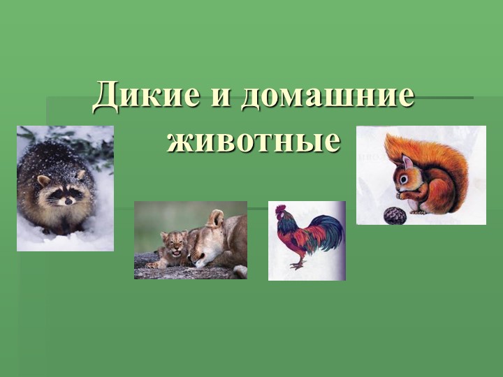 "Дикие и домашние животные" - Учебники, Презентации и Подготовка к Экзаменам для Школьников на Klass-Uchebnik.com