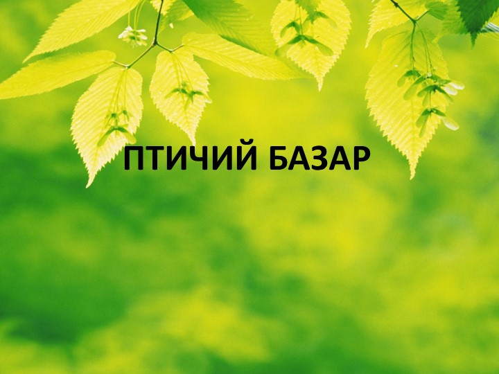 ПРЕЗЕНТАЦИЯ ПО ТЕМЕ "ПТИЦЫ" Учебники, Презентации и Подготовка к Экзаменам для Школьников на Klass-Uchebnik.com